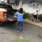 CÂY XANH GIA NGUYỄN CUNG CẤP 100 CÂY NHÃN IDO CHO CHỊ XUÂN ANH Ở HÀ TĨNH