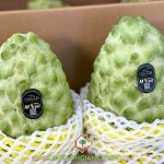 TÁC DỤNG CỦA CÂY NA ĐÀI LOAN