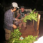 CÂY XANH GIA NGUYỄN CÓ HỢP ĐỒNG ONLINE Ở TÂY NINH