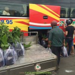 CÂY XANH GIA NGUYỄN CUNG CẤP CÂY ĂN TRÁI CHO ANH HÙNG Ở NHA TRANG