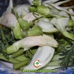 CÂY SO ĐŨA CÓ TÁC DỤNG GÌ?