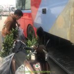 CÂY XANH GIA NGUYỄN CUNG CẤP 80 CÂY CAM SÀNH CHO ANH LONG Ở BÌNH ĐỊNH