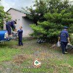 CÂY XANH GIA NGUYỄN CUNG CẤP 450 CÂY DỪA DỨA CHO HTX ĐÓNG TÀU XÀ LAN NHƠN TRẠCH