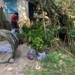 CÂY XANH GIA NGUYỄN CUNG CẤP 230 CÂY CHANH BÔNG TÍM CHO ANH TIỀN Ở TÂY NINH