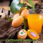 CÔNG DỤNG CỦA THANH TRÀ ĐỐI VỚI SỨC KHỎE
