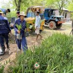 CÂY XANH GIA NGUYỄN CUNG CẤP 200 CÂY CHÀ LÀ TRUNG ĐÔNG CHO HỢP TÁC XÃ ĐÓNG TÀU XÀ LAN NHƠN TRẠCH